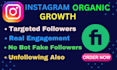 super fast organic instagram growth