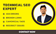 fix 404 errors, broken links, redirects and canonical issues