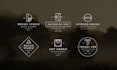 do custom 2 minimal business logo design within 24 hours