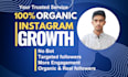 do super fast organic instagram growth