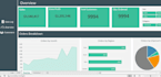do excel dashboard, pivot table, charts and reports in excel
