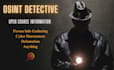 be your osint private investigator for online harassment background check