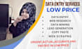 do absolute and fastest data entry in low price