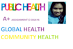 do public health, global health, community research, projects, tasks