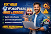 wordpress bugs within 24 hours