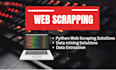 provide web scrapping ,data scrapping using  python