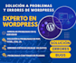 create custom wordpress solutions like themes, plugins and features