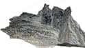 lidar data processing, point cloud, 3d model, classification, contours, dem, dsm