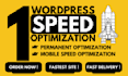 speed up wordpress website for google page insights