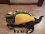translate or redact your texts