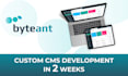 develop a business website based on umbraco cms
