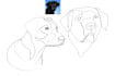draw your pet animal in line art, one line art, line art icon illustration logo