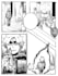 draw a manga, webcomic page