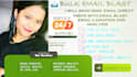 do bulk email blast, email marketing and email campaign