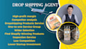 shopify dropshipping agent, sourcing for fba in china