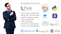 do python flask micro service API development