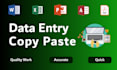 do any data entry copy paste job in 24 hours