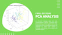 do your principal component analysis
