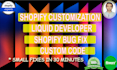 do shopify custom coding bug fix customization as shopify liquid developer