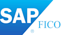 solve sap fico certified consultant
