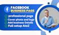 do professional facebook page creation and setup