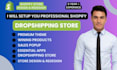 build a professional shopify dropshipping store that is ready to generate sales