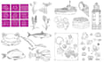 do line illustrations for you