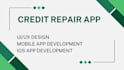 develop financial budgeting credit repair software app webapp website UI UX