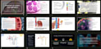 craft compelling powerpoint presentations, ensuring impactful visuals