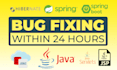 fix bugs in your java desktop or web application