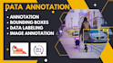 do professional data annotation, image annotation, data labelling