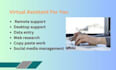be your professional virtual assistant for data entry
