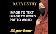 convert any image to editable text as doc docx or pdf