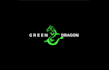 green dragon logo food design