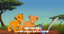 add in English or Chinese subtitle to your video