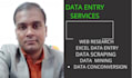 professlonally  data entry services