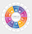 design infographics and presentation elements