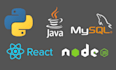 do ai ml, and CV in python and web dev in javascript , mern