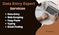 do accurate data entry, word, excel and database work