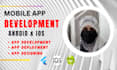 do  flutter,flutterflow mobile app developer or bubble app developer