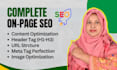 do professional on page SEO optimization for wordpress website ranking