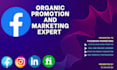 do facebook organic promotion and marketing