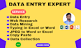 do data entry, web research, scraping, copy paste and PDF to excel