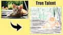 poorly recreate your picture in microsoft paint
