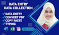 do excel data entry, convert pdf, copy paste, data collection
