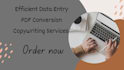 provide expert data entry, PDF conversion, and copywriting services
