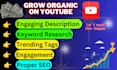 grow your youtube channel and manage it