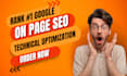 do on page SEO and technical optimization of your wordpress website