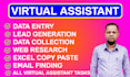 be your professional and administrative virtual assistant, data entry expert