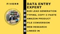 do b2b lead generation, linked in leads, web research, file conversion, typing